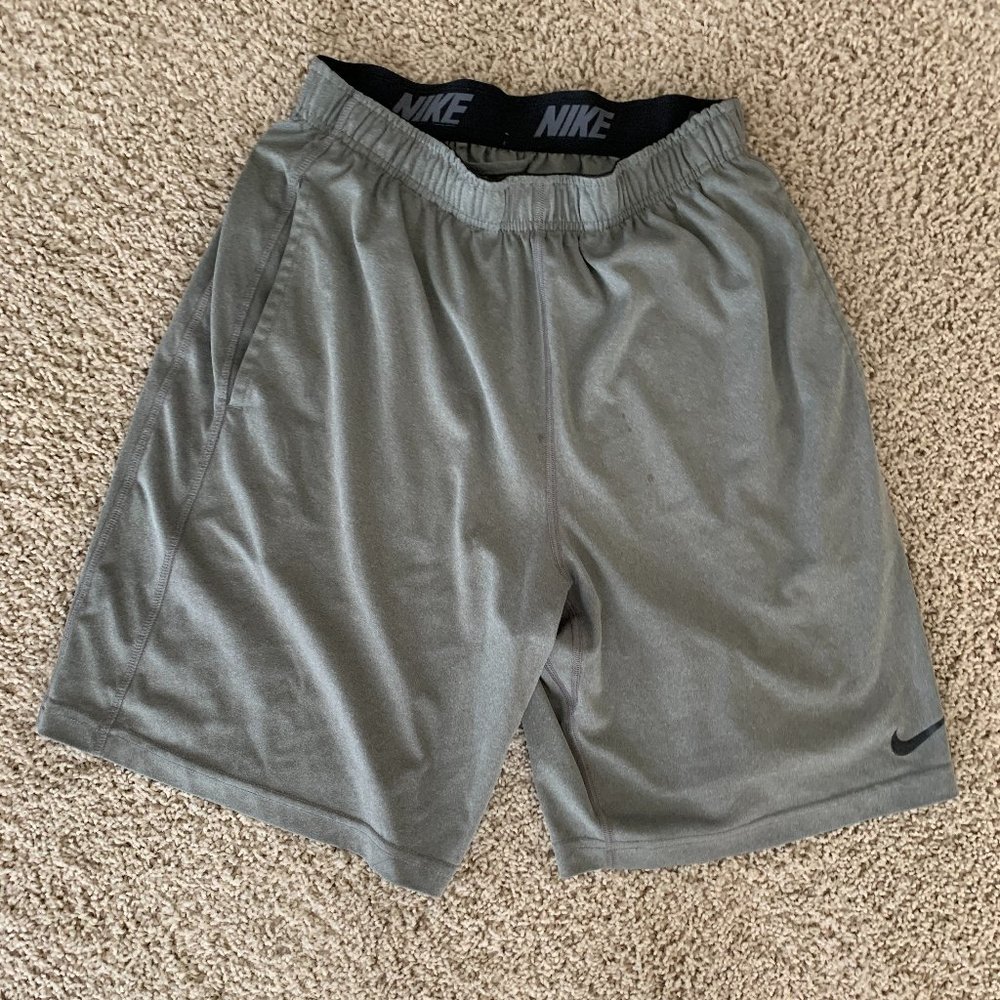 Nike Gray Dri-Fit Shorts (S)